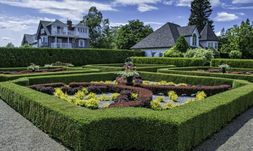 Attraction Image